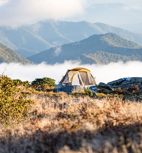 Home thumbnail of camp 3